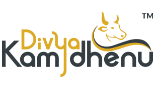 DIVYA KAMDHENU